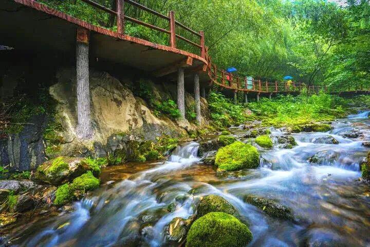 河南这些景区，向所有女士免门票→