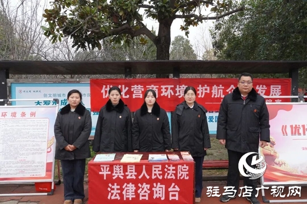 平舆县人民法院开展优化营商环境条例集中宣传活动