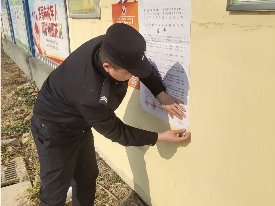 示范区：禁种铲毒不松懈 全民禁毒护平安