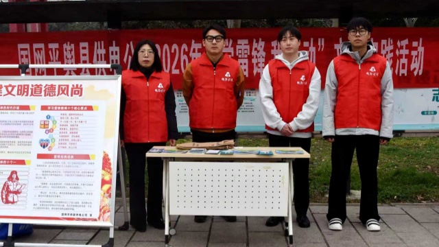 国网平舆县供电公司：学雷锋践行动 为民服务情意浓