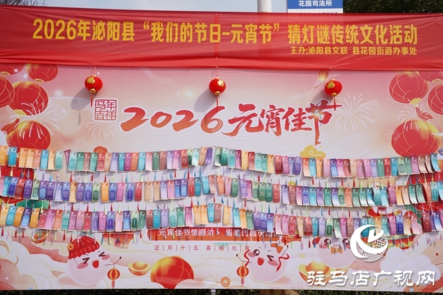 泌阳县：灯谜竞猜闹元宵 传统文化润心田