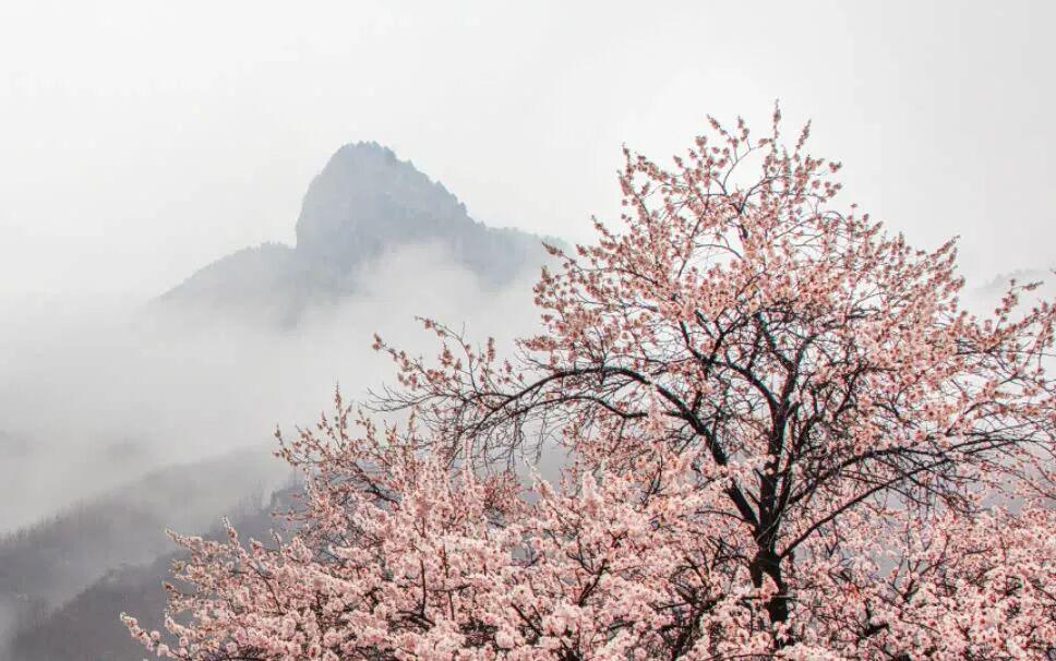 河南这些景区，向所有女士免门票→