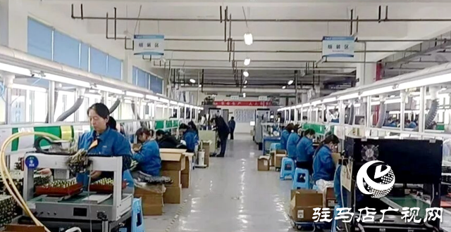 智能化产线全速运转 铁甲科技奏响春日“奋进曲”