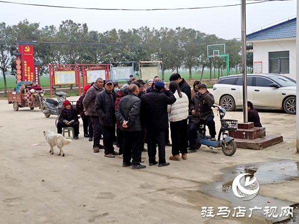 平舆县射桥镇：村委便民暖人心 认证服务解民忧