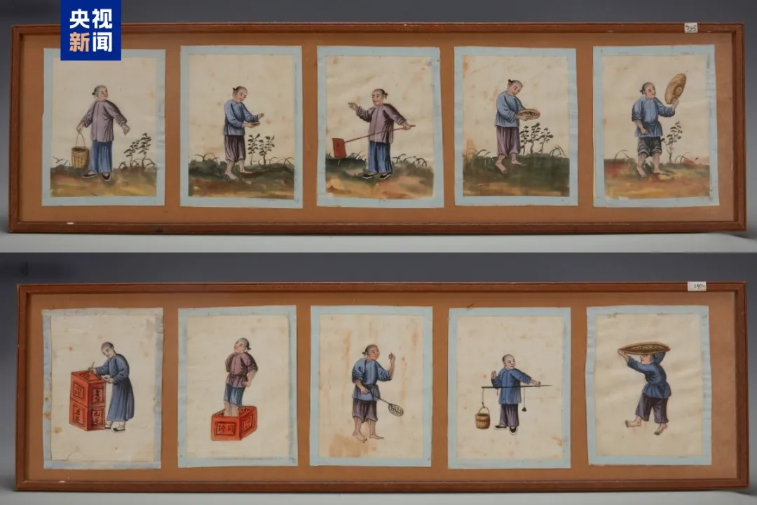 文博日历丨古代制茶分几步？这份“制茶教程”包教包会