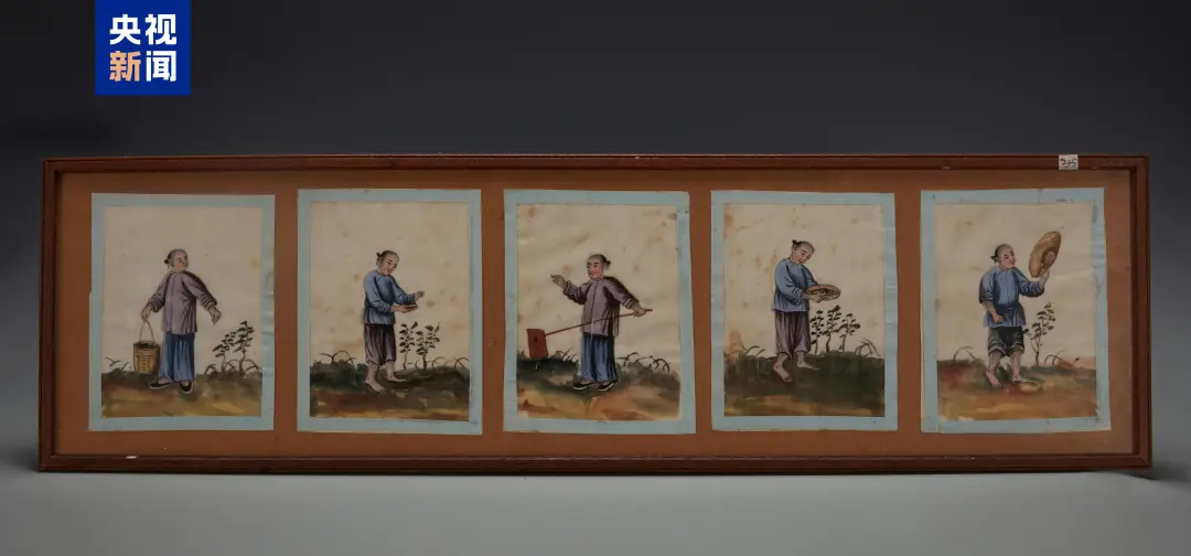 文博日历丨古代制茶分几步？这份“制茶教程”包教包会