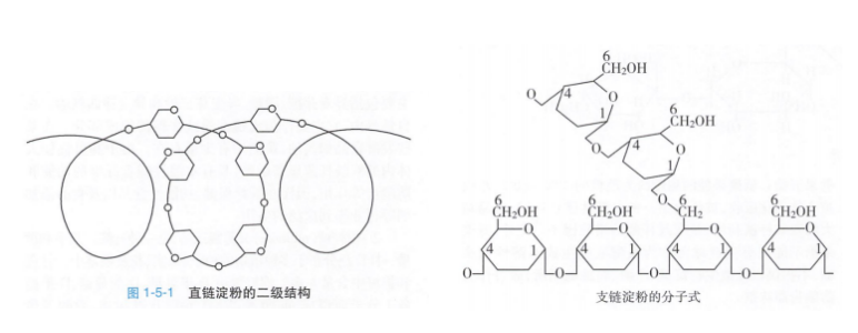警惕!这7种食物不甜却让你血糖飙升,很多人经常吃