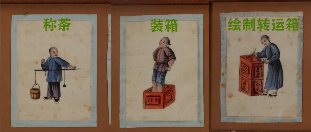 文博日历丨古代制茶分几步？这份“制茶教程”包教包会