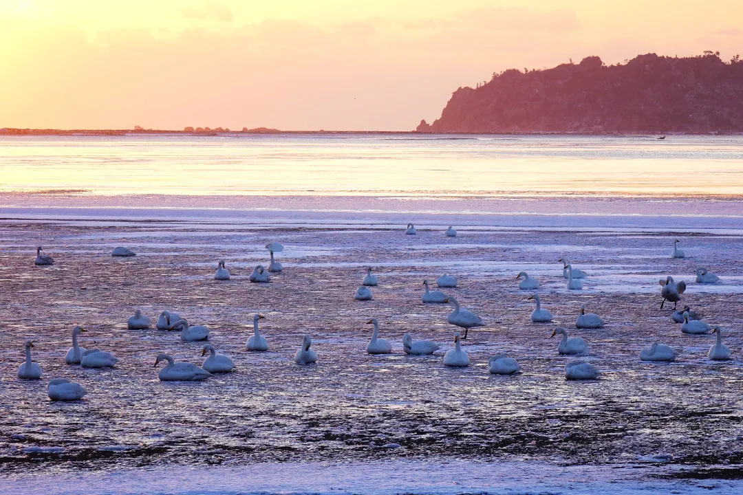 政府工作报告这些新提法、新举措释放什么信号?