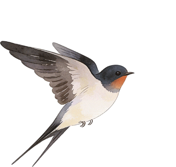 赴一场天中花事|驻马店赏花指南,承包你的春日浪漫