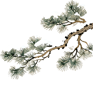 藏历火马新年，他们把游客请进家