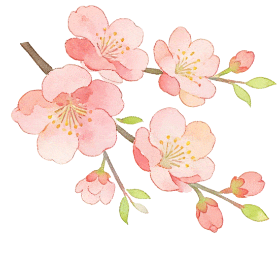 赴一场天中花事|驻马店赏花指南,承包你的春日浪漫