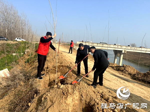 平舆县射桥镇：植此青绿绘春色 共筑生态新家园
