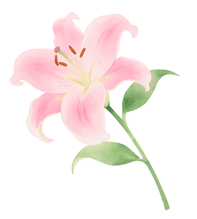 3月赏花天花板，拍照零废片！