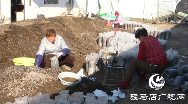 【第一书记话振兴】黄云龙：扎根基层守初心 振兴路上践使命