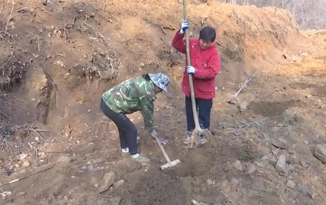 25年！确山七旬夫妇把3000亩荒山变绿岭