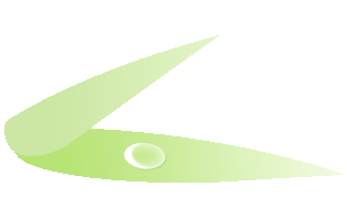 驻马店登高赏春路线 |  上春山 ，来一场天然氧吧之旅~