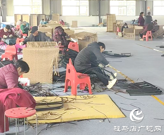 平舆县老王岗乡：做强共同富裕加工园 激活乡村振兴“新引擎”