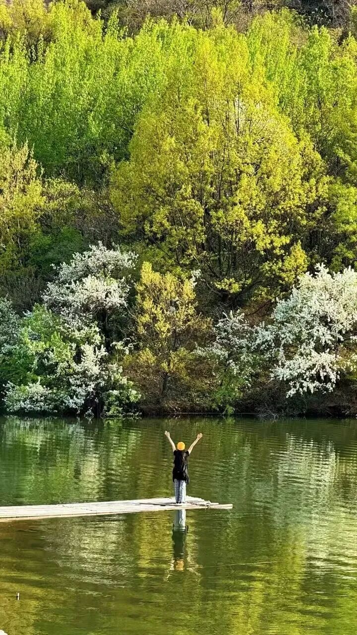 驻马店登高赏春路线 |  上春山 ，来一场天然氧吧之旅~
