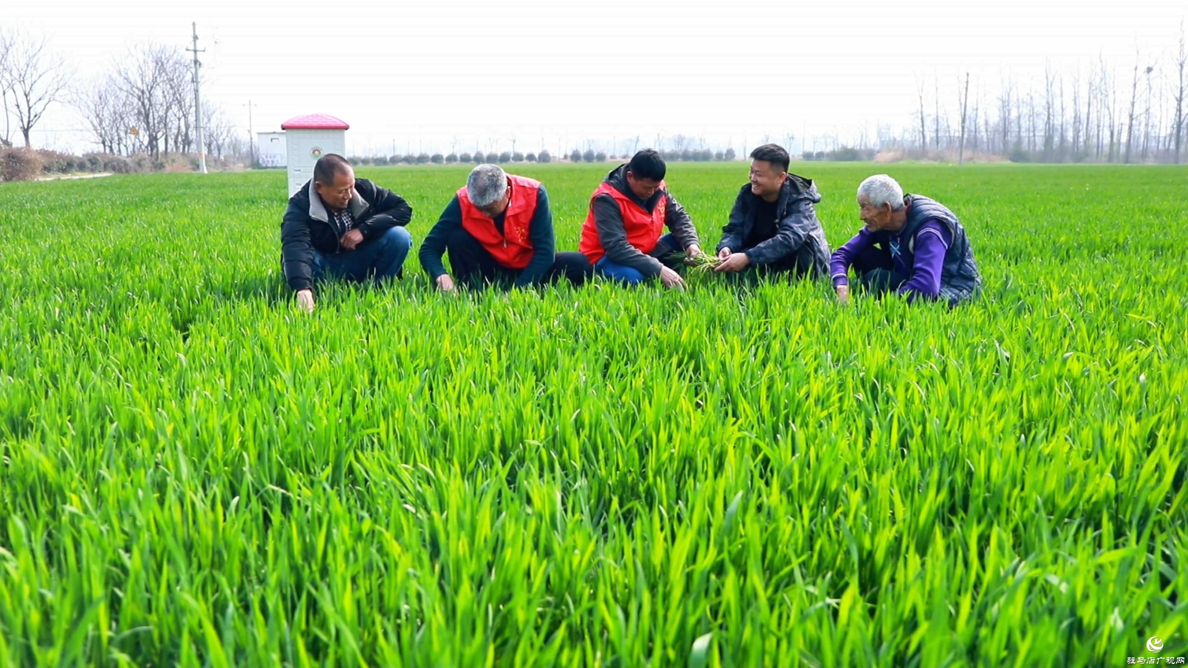 驻村第一书记郑俊：引领农产品“花式”出村 蹚出乡村振兴“遍地开花”路