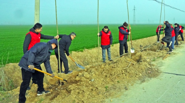 国网西平县供电公司：植绿护绿践初心 守护生态保供电