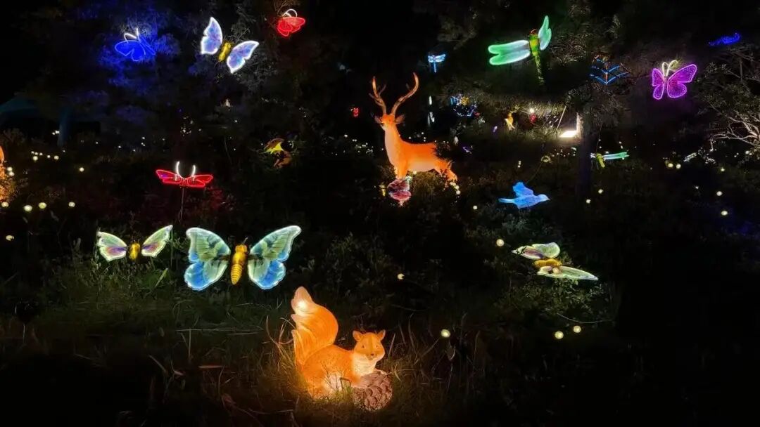 春游反内卷 驻马店潮人都去这解锁松弛感