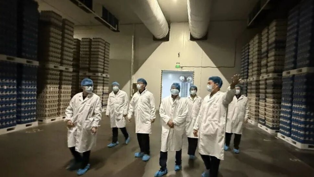 确山：博士专家团 把脉进企业