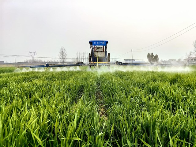 驿城区水屯镇：抢抓农时春管忙 小麦“喝”上返青水