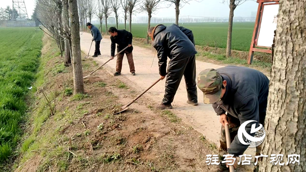 平舆县十字路乡：聚力人居环境整治 绘就和美乡村新画卷