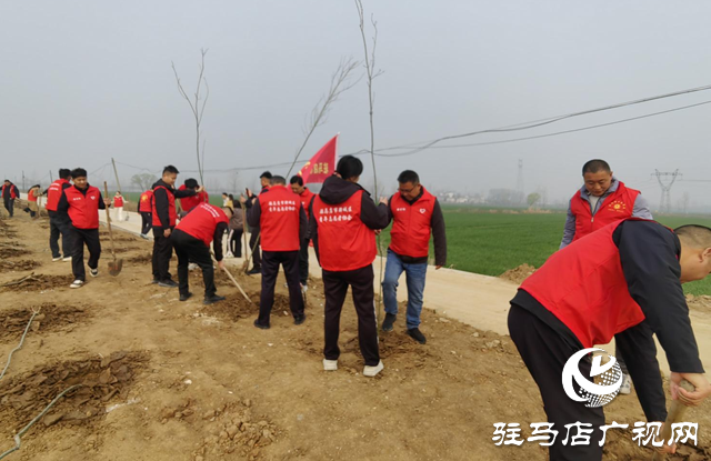 驿城区开展青年志愿者植树活动 百株新苗添绿美丽驿城