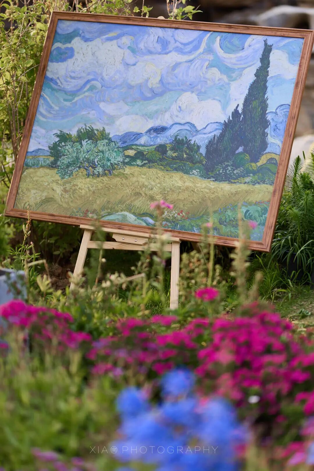 春游反内卷 驻马店潮人都去这解锁松弛感