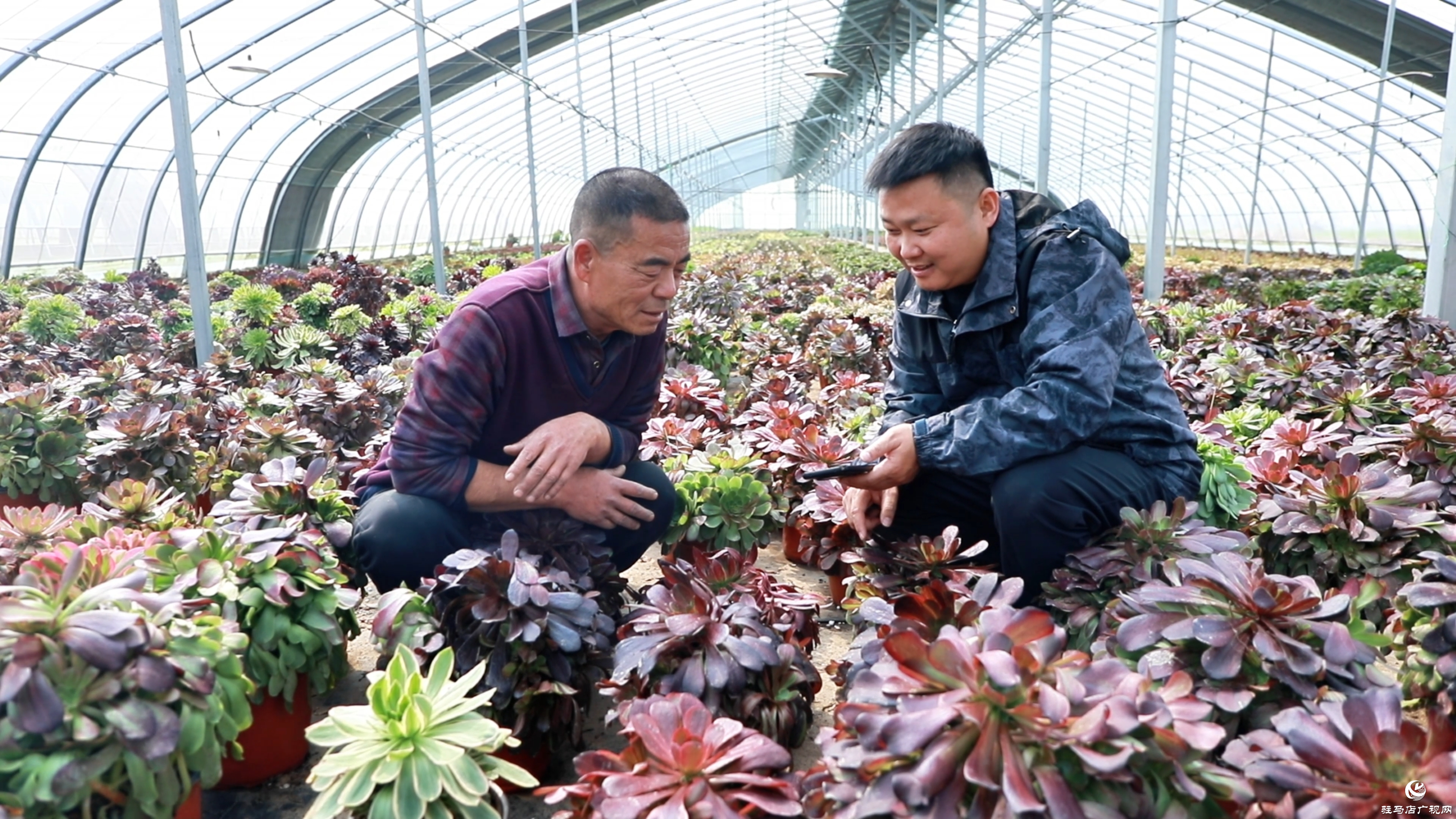 驻村第一书记郑俊：引领农产品“花式”出村 蹚出乡村振兴“遍地开花”路