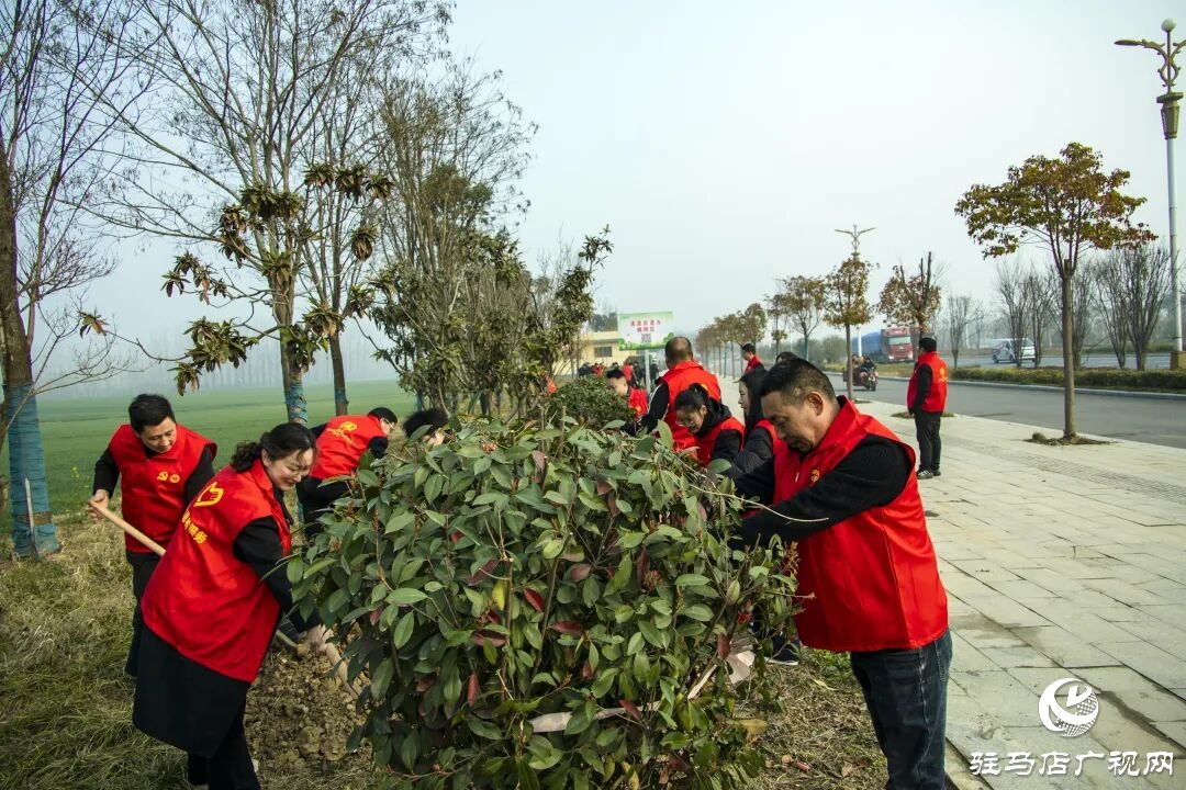 正阳县清源街道：志愿红辉映高速路 全员携手植新绿