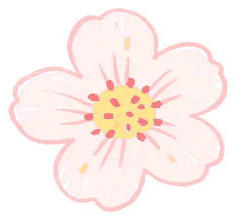 春游反内卷 驻马店潮人都去这解锁松弛感