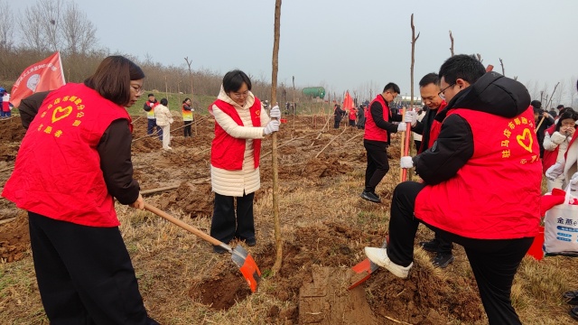驻马店市邮政分公司开展&ldquo;手植一棵树 绿化一片天&rdquo;义务植树活动