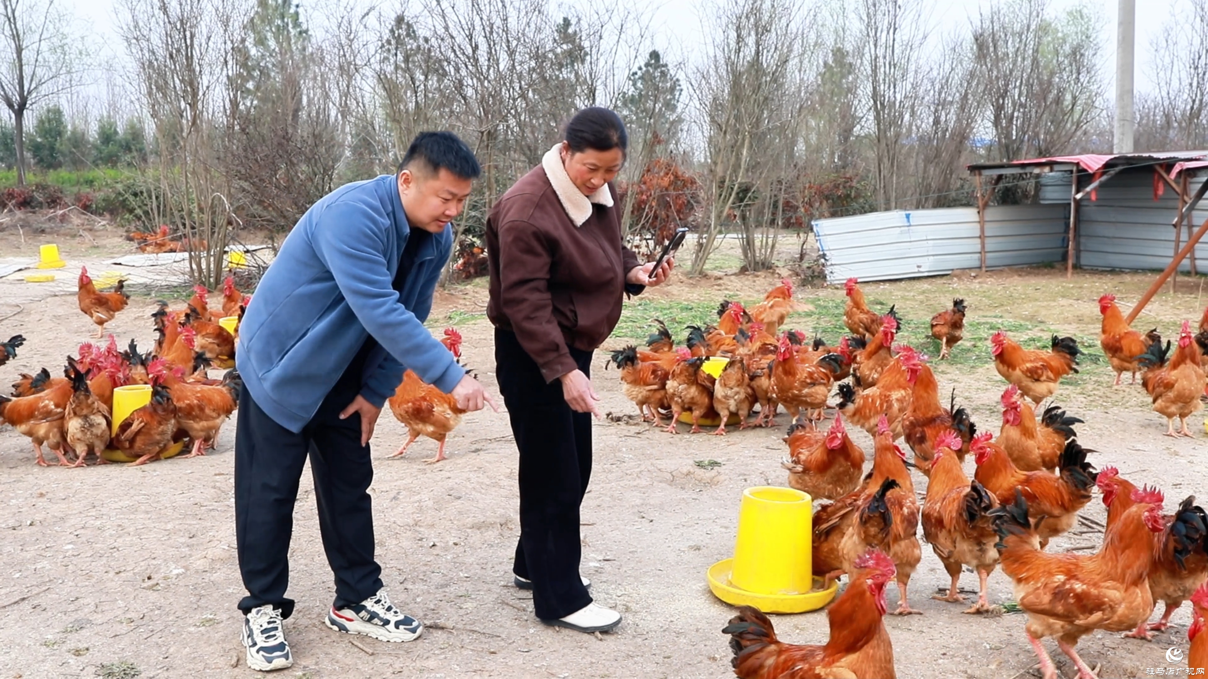 驻村第一书记郑俊：引领农产品“花式”出村 蹚出乡村振兴“遍地开花”路