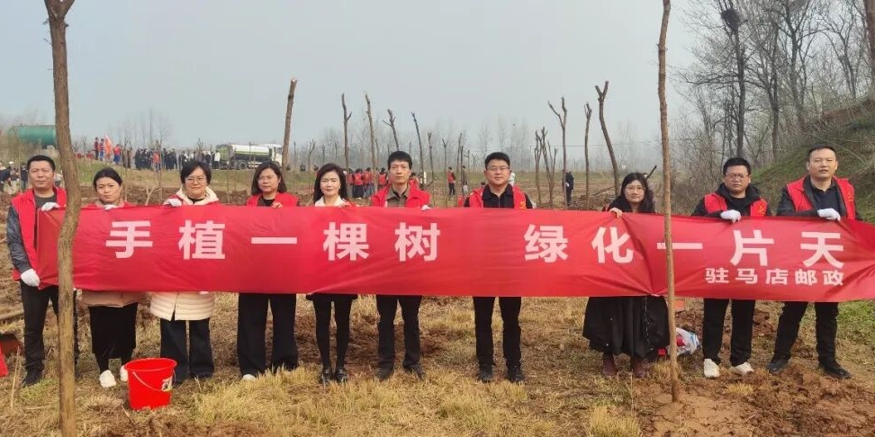 驻马店市邮政分公司开展“手植一棵树 绿化一片天”义务植树活动