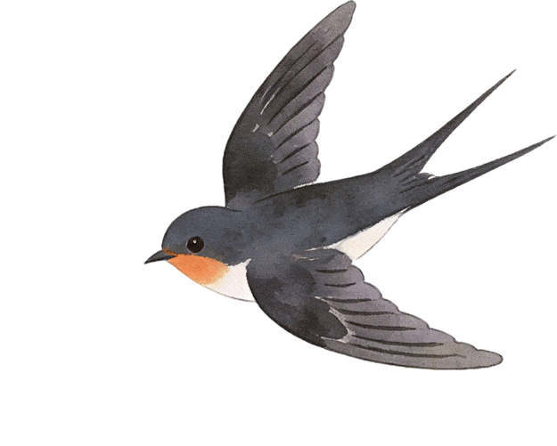 春游反内卷 驻马店潮人都去这解锁松弛感