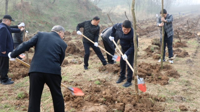 驻马店市工业和信息化局开展2026年“3·12”植树节文明实践活动暨“美丽中国，我是行动者”主题活动