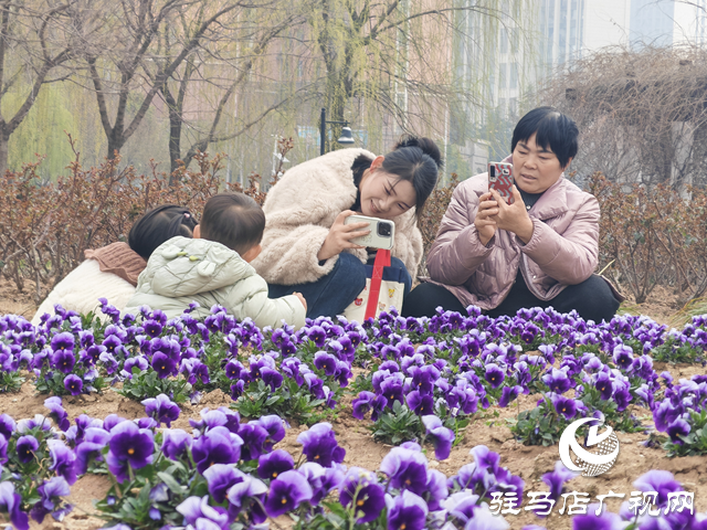 满园繁花映春色 踏青游园正当时