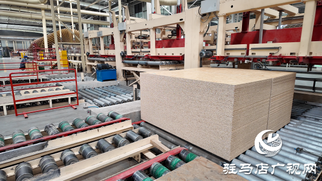 佳诺威集团：向“绿”而行赋能企业高质量发展