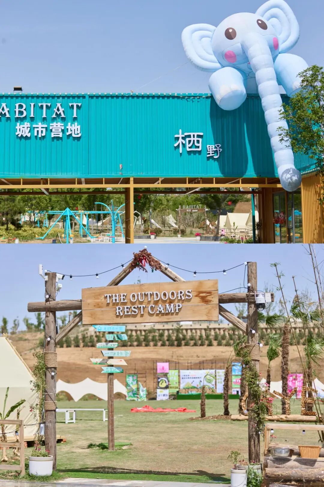 春游反内卷 驻马店潮人都去这解锁松弛感