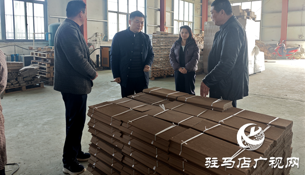 平舆县十字路乡：深入走访察实情，凝心聚力促发展