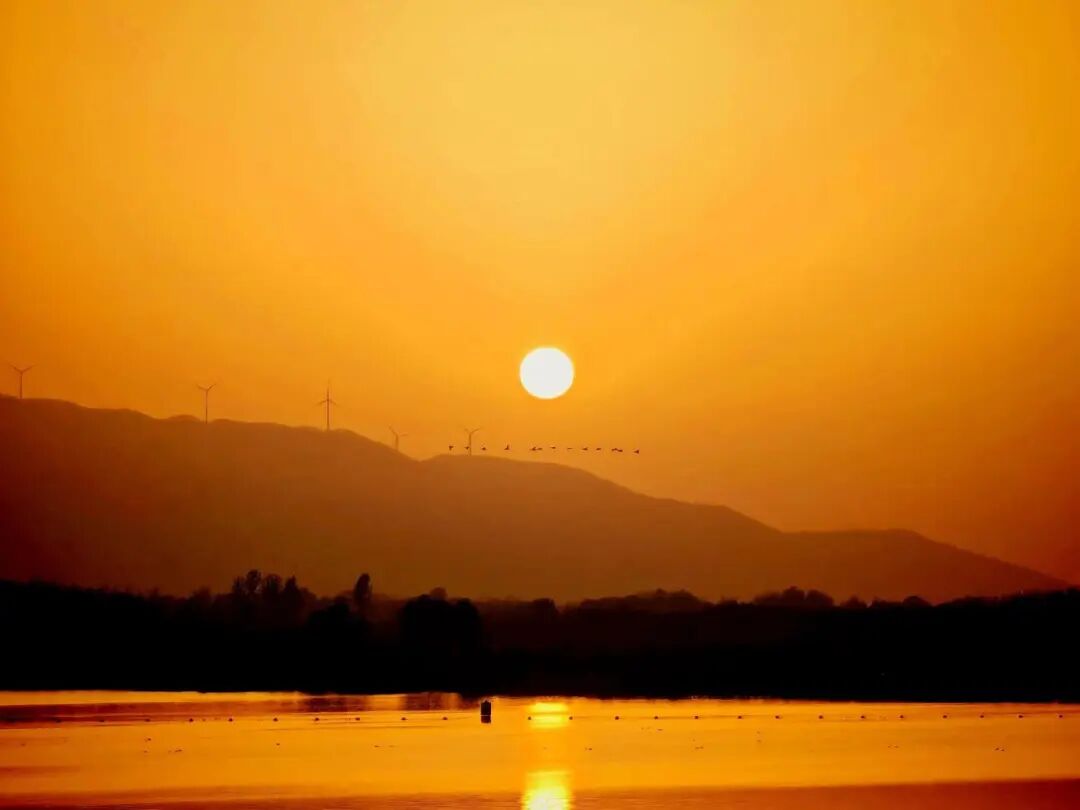 春游反内卷 驻马店潮人都去这解锁松弛感