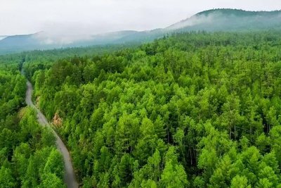 我国林草覆盖率超56%