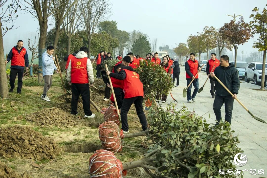 正阳县清源街道：志愿红辉映高速路 全员携手植新绿