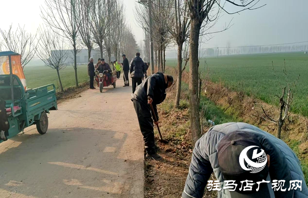 平舆县十字路乡：聚力人居环境整治 绘就和美乡村新画卷