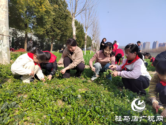  劳动实践促成长 田间课堂乐趣多