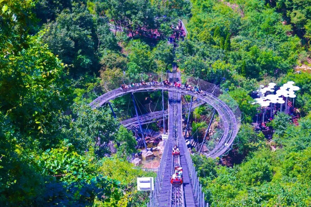 来河南体验“飞驰人生”！