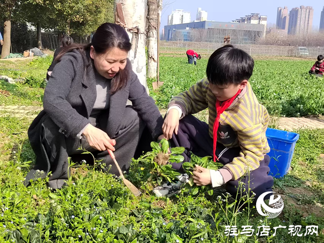  劳动实践促成长 田间课堂乐趣多